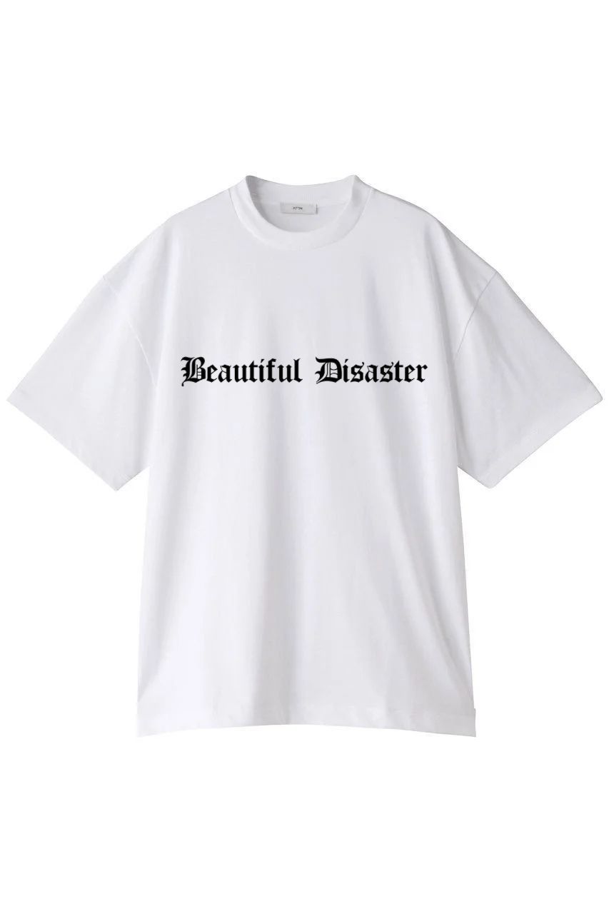 Beautiful Disaster
